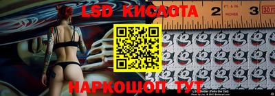 прущие грибы Можга