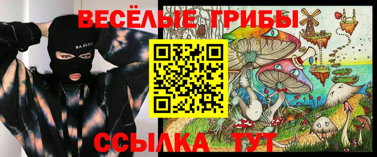 Псилоцибиновые грибы MAGIC MUSHROOMS Гуково