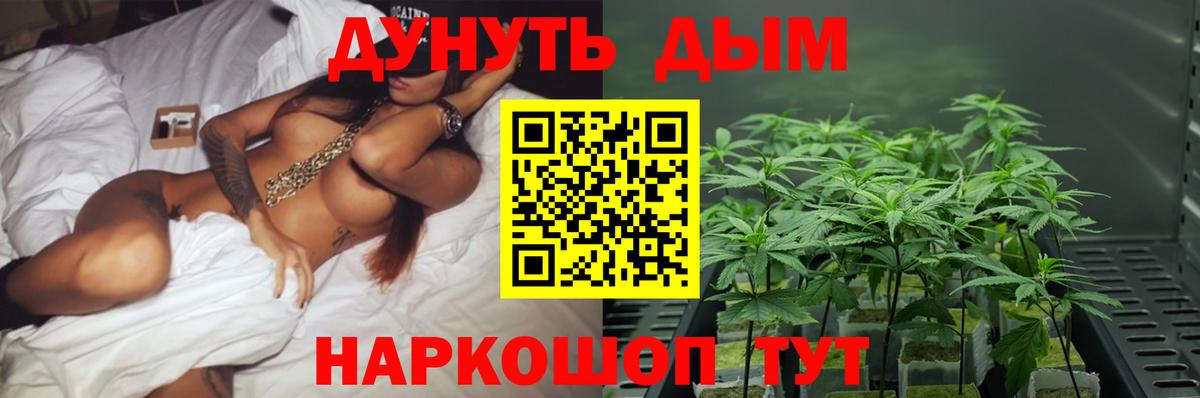 Бошки марихуана конопля Гуково